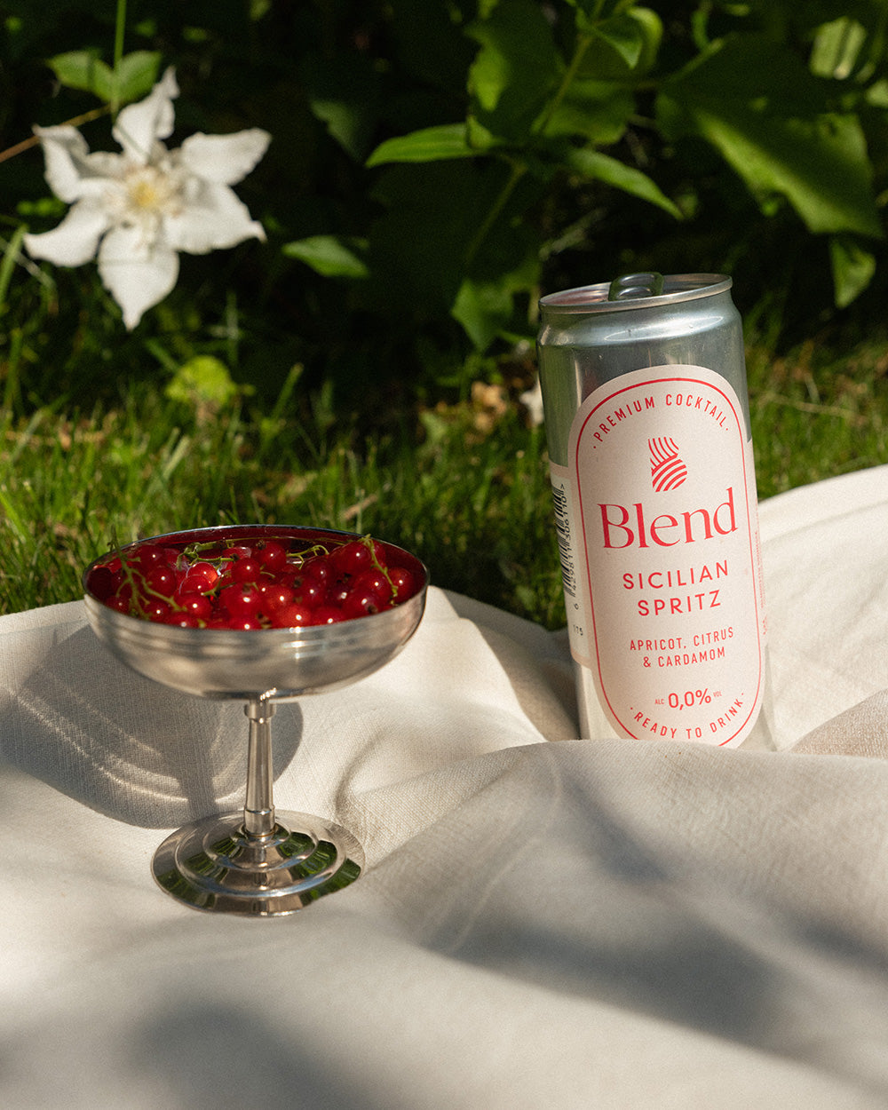 Blend Sicilian Spritz 0,0% piknik-viltillä ja punaherukoita maljassa